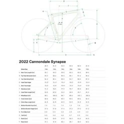 Vélo Route Cannondale Synapse Carbon 2 RLE Grey -GOBIK Soldes gomtrie synapse 2022 700x700 1