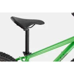 VTT Cannondale Trail 7 Vert -GOBIK Soldes trail 7 vert 9 700x700 3