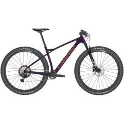 VTT Lapierre Pro Race CF 8.9 Violet 2023